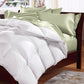 Royal Comfort Goose Feather & Down Quilt - King Single