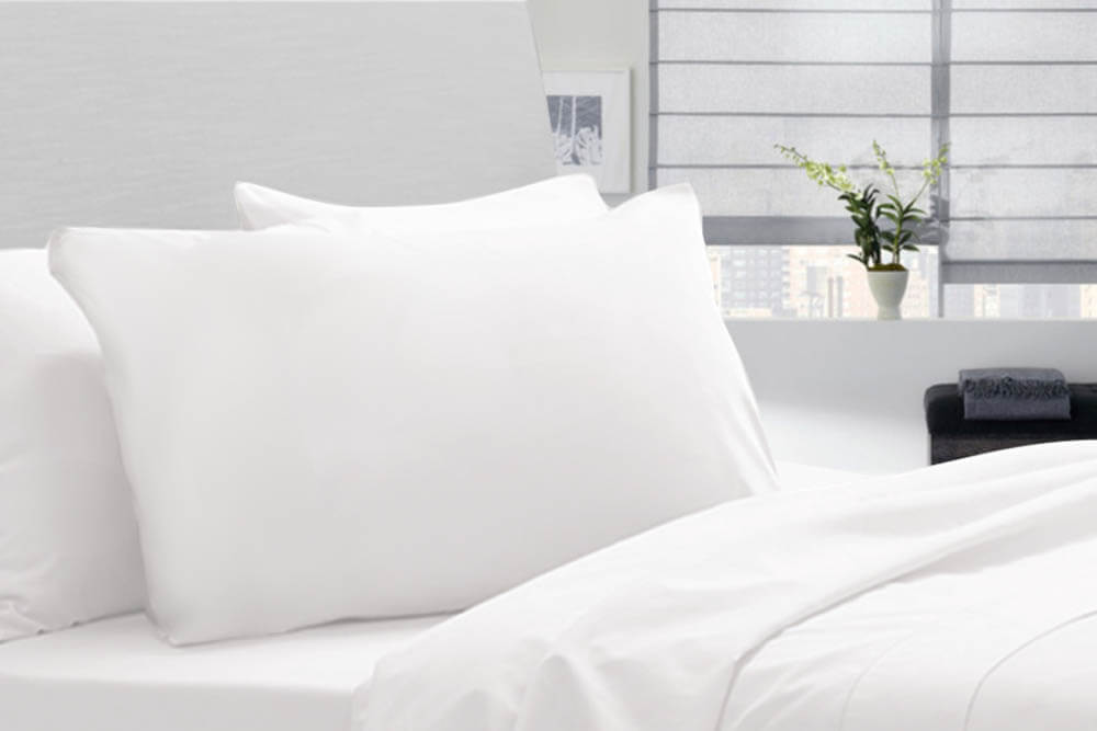 Royal Comfort Signature Hotel Pillow Single Pack White